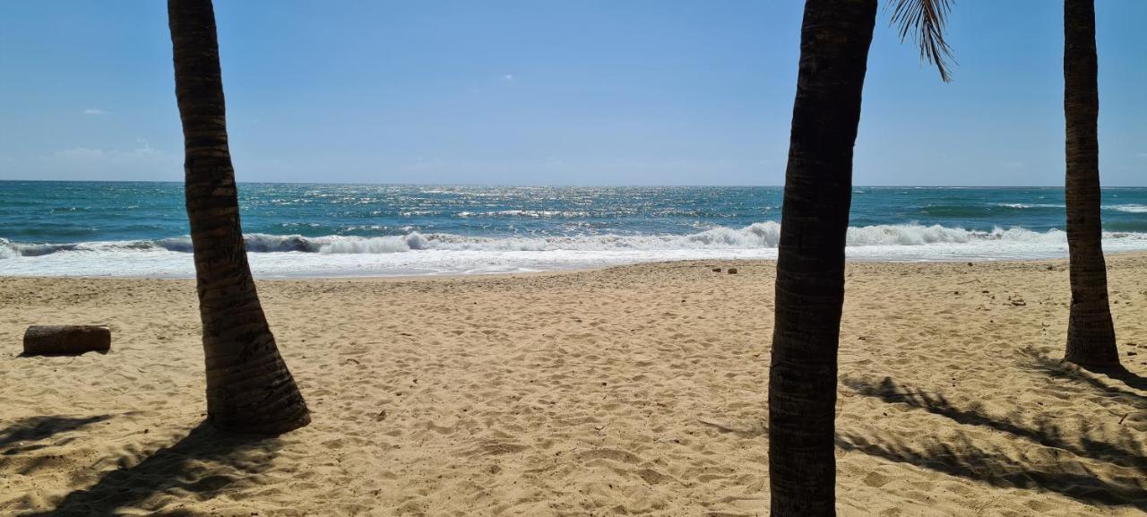 Trevily Porto Flats A 100M Da Praia Pôrto das Galinhas المظهر الخارجي الصورة